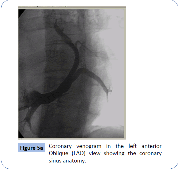 archivesofmedicine-Position-lead