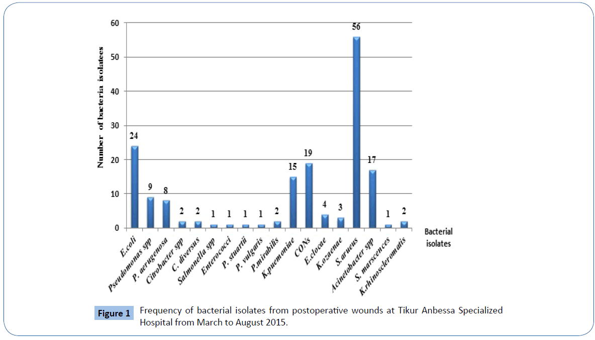 archivesofmedicine-bacterial-isolates