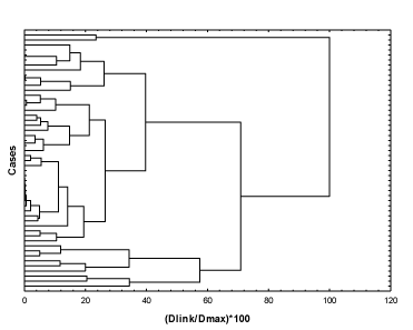 Dendrogram