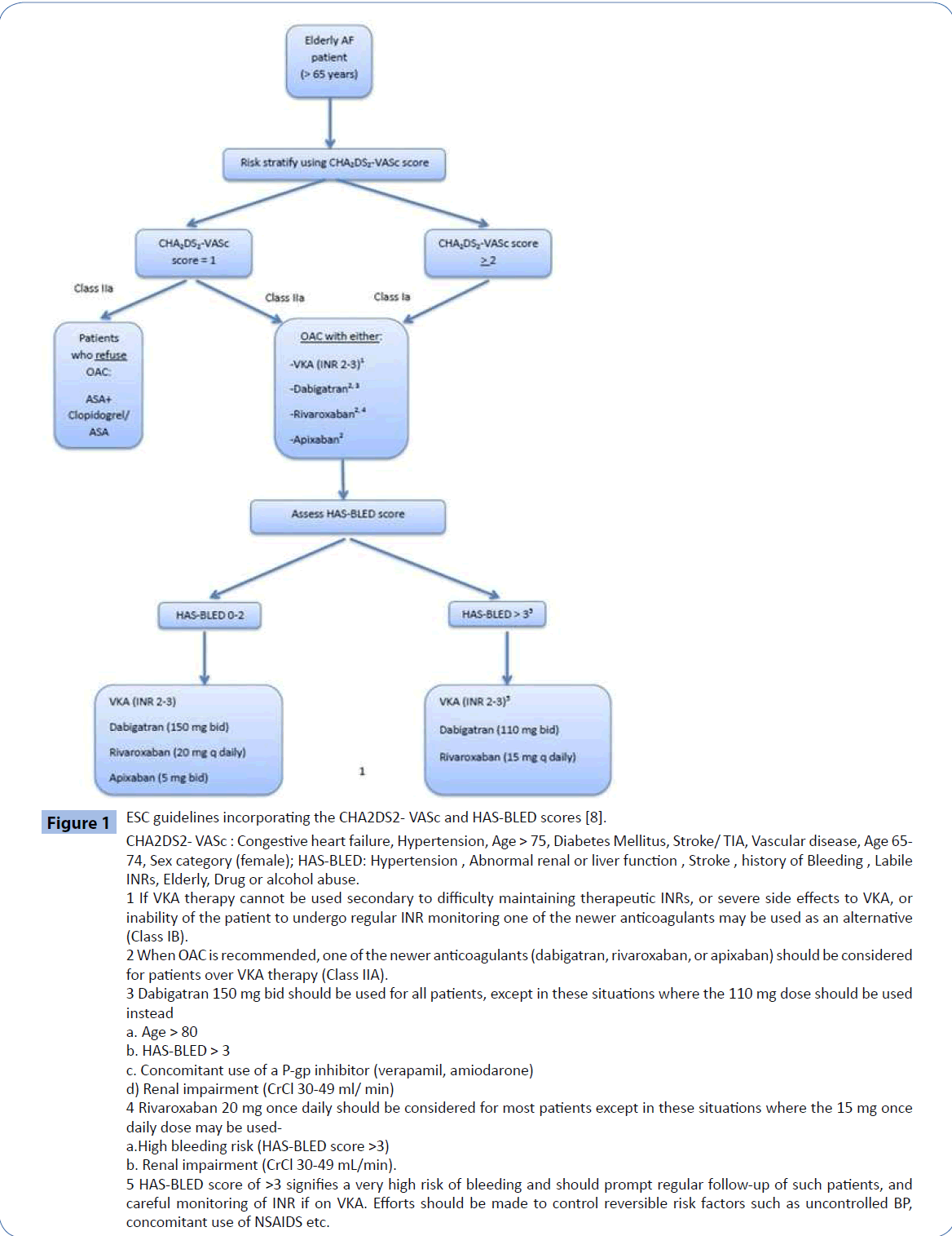 Anticoagulation For Atrial Fibrillation In The Elderly Insight Medical Publishing Anticoagulation For Atrial Fibrillation In The Elderly Insight Medical Publishing