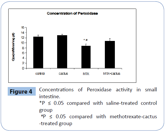 Preventive Effect Of Ethanolic Extract Of Cactus Opuntia Ficus Indica Cladodes On Methotrexate Induced Oxidative Damage Of The Small Intestine In Wistar Rats Insight Medical Publishing